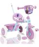 Frozen Tricycle W/Push