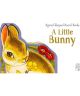 A Little Bunny Story Book