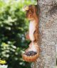 Montefiori Hanging Squirrel