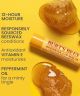 Burt'S Bees Lip Balm 0.15Oz